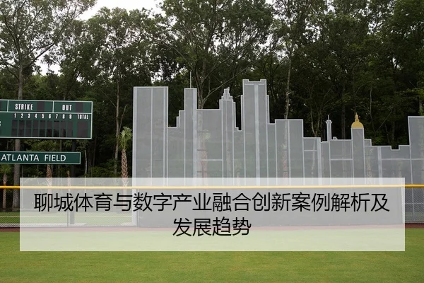 liao-cheng-ti-yu-yu-shu-zi-chan-ye-rong-he-chuang-xin-an-li-jie-xi-ji-fa-zhan-qu-shi-2-650.jpg